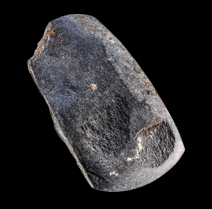 Abbildung. 8: Das Steinbeil gehört mit einer Länge von 6,3 Zentimeter zu den kleinen Exemplaren seiner Art. Es weist, neben rezenten Beeinträchtigungen, deutliche Gebrauchsspuren auf. © LDA Sachsen-Anhalt, K. Bentele. Abbildung. 8: Das Steinbeil gehört mit einer Länge von 6,3 Zentimeter zu den kleinen Exemplaren seiner Art. Es weist, neben rezenten Beeinträchtigungen, deutliche Gebrauchsspuren auf. © Landesamt für Denkmalpflege und Archäologie Sachsen-Anhalt, K. Bentele.