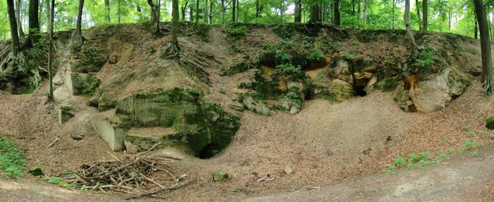 Abbildung 6: Der Sandsteinbruch mit Felsenkeller (Räuberhöhle). © Reinhard Duckstein.