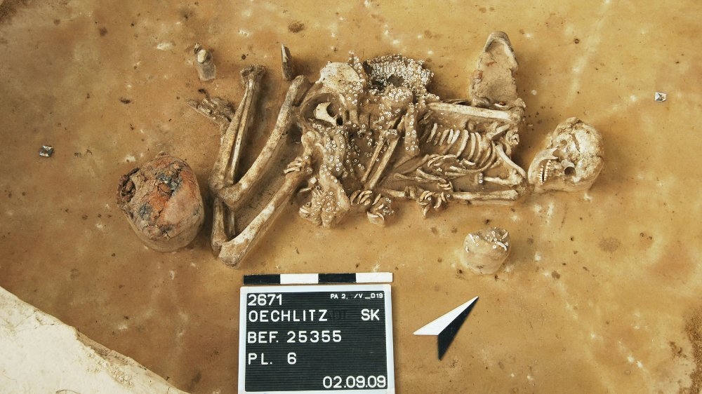 Abbildung 6: Typische Bestattung der Schnurkeramikkultur mit Gefäßbeigabe, durchlochten Tierzähnen und Muschelpailletten bei Oechlitz. © Landesamt für Denkmalpflege und Archäologie Sachsen-Anhalt, D. Menke.