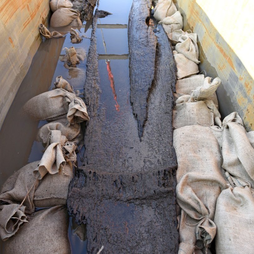 Abb. 5. Der in der Stahlkiste abgelegte Einbaum; die rechte Bordwand war durch die Seitenlage im Fluss abgeknickt. © Landesamt für Denkmalpflege und Archäologie Sachsen-Anhalt, Andrea Hörentrup. 