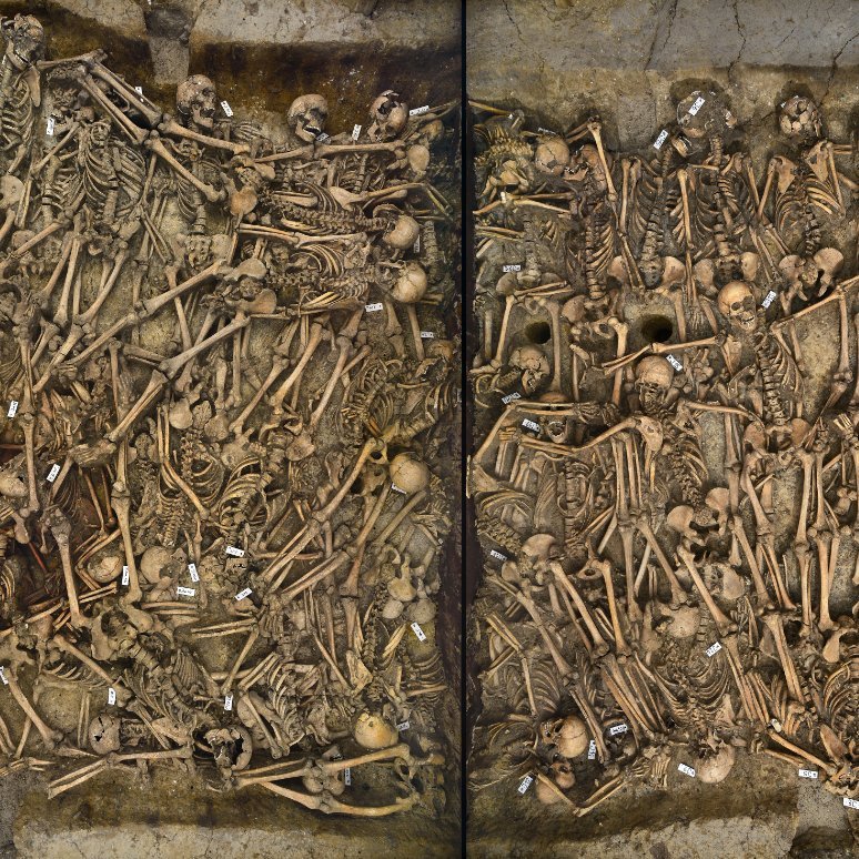 Das Massengrab von Lützen nach der Freilegung. © Landesamt für Denkmalpflege und Archäologie Sachsen-Anhalt, Juraj Lipták.