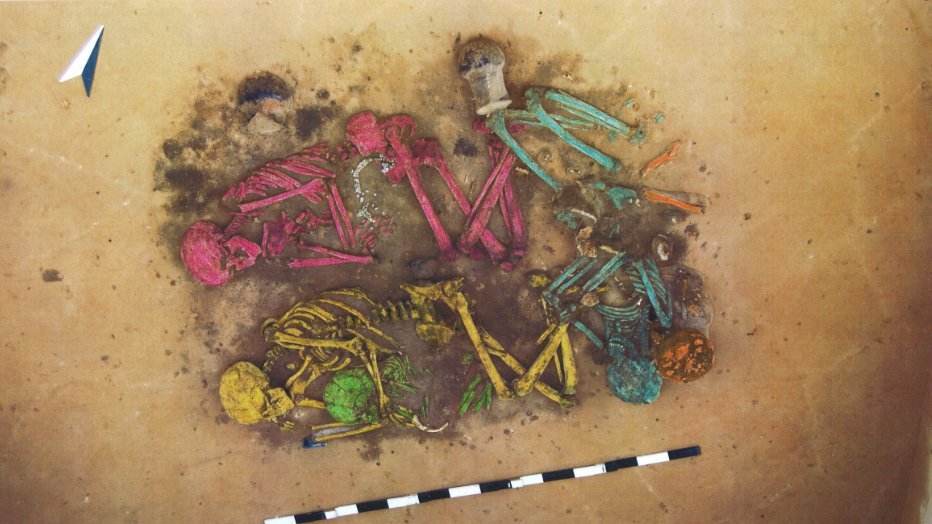 Abbildung 8: Mehrfachbestattung der Schnurkeramikkultur bei Oechlitz. Die verschiedenen Individuen sind farbig  gekennzeichnet. © Landesamt für Denkmalpflege und Archäologie Sachsen-Anhalt.