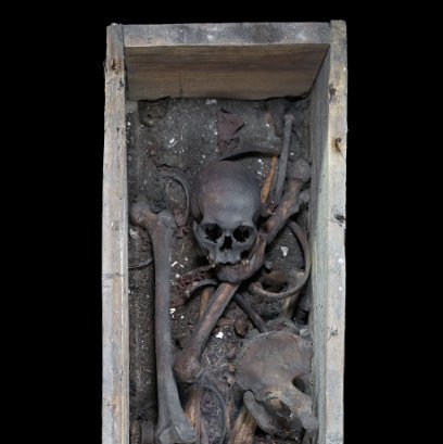 Blick in den geöffneten Holzsarg mit menschlichen Überresten, Textilien und Sediment. © Landesamt für Denkmalpflege und Archäologie Sachsen-Anhalt, Andrea Hörentrup.