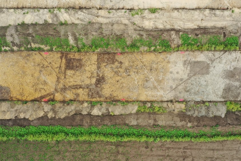 Deutlich zeichnen sich die Reste von Grubenhäusern im Befund ab. © Landesamt für Denkmalpflege und Archäologie Sachsen-Anhalt, Klaus Bentele.
