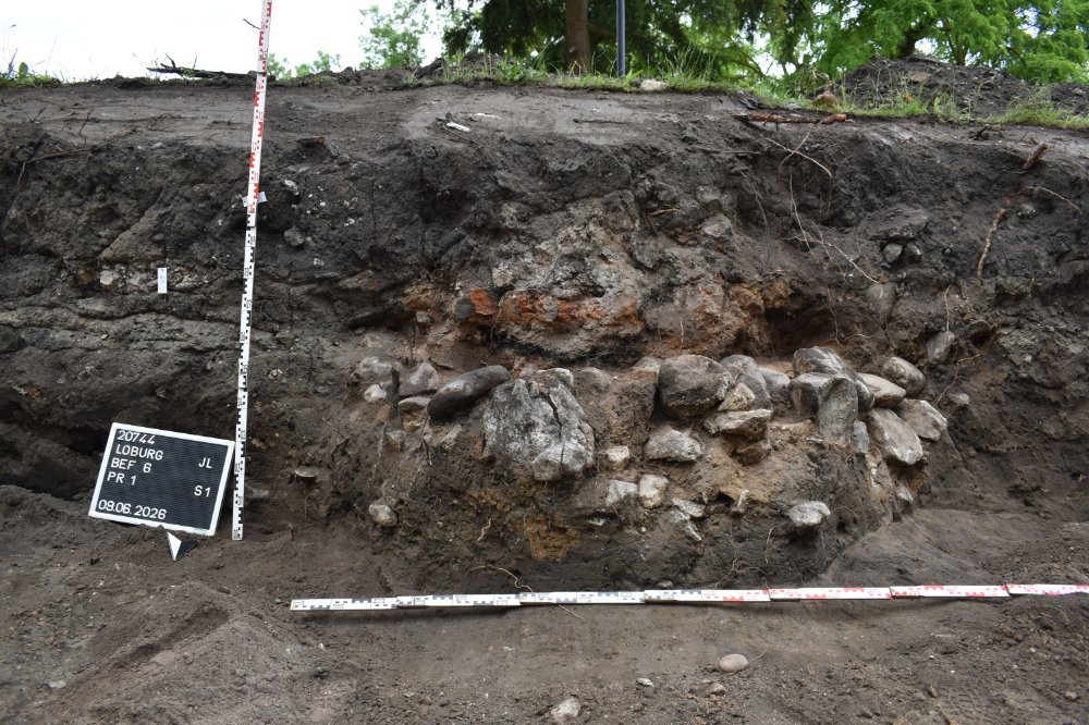 Die große Ofenanlage im Südprofil des Grabungsschnitts; Blickrichtung Süden. Über einer Basis aus in Lehm gesetzten Feldsteinen befindet sich der Ofenraum mit Holzkohle, Asche und Ziegelbruch. © Landesamt für Denkmalpflege und Archäologie Sachsen-Anhalt, Anja Tuschwitz.