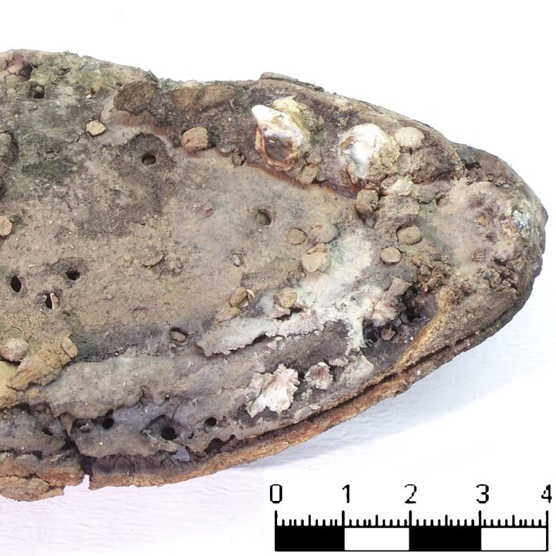 Abbildung 14: Unterseite der gleichen Sohle. © Landesamt für Denkmalpflege und Archäologie Sachsen-Anhalt, Heiko Breuer.