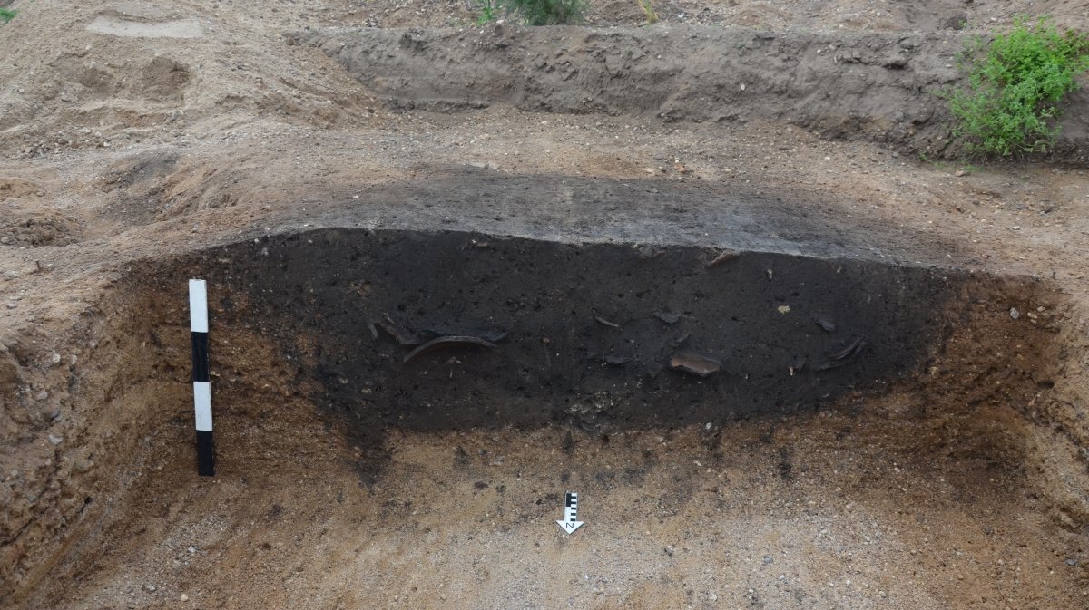 Brandbestattung der Schönfelder Kultur  im Siedlungsareal südwestlich des Ringheiligtums Pömmelte.  © Landesamt für Denkmalpflege und  Archäologie Sachsen-Anhalt, Matthias Zirm.
