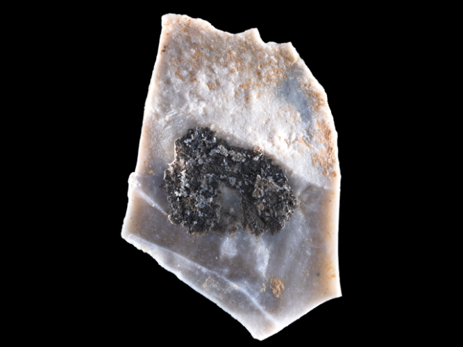 Abbildung 8: Feuersteinabschlag mit möglichen Resten von Birkenpech. Breitenbach, Burgenlandkreis. © Landesamt für Denkmalpflege und Archäologie Sachsen-Anhalt, A. Westphalen.