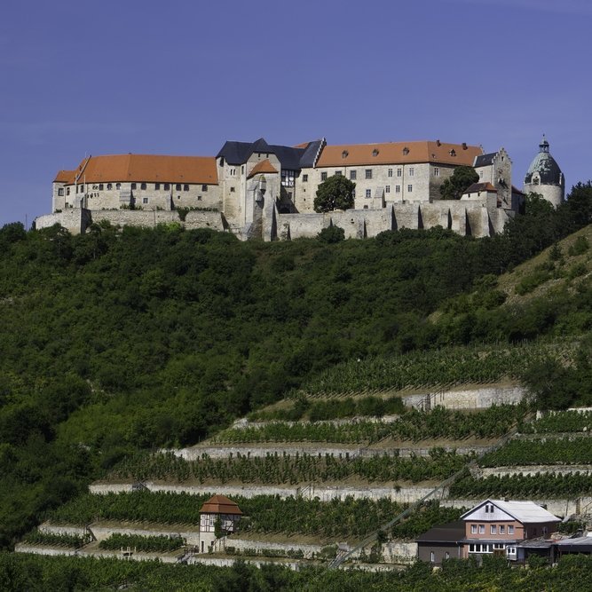 Die ebenso eindrucksvoll wie malerisch über dem Unstruttal gelegene Neuenburg bei Freyburg, im Hintergrund rechts der Bergfried ›Dicker Wilhelm‹. © Kulturstiftung Sachsen-Anhalt, Christoph Jann.