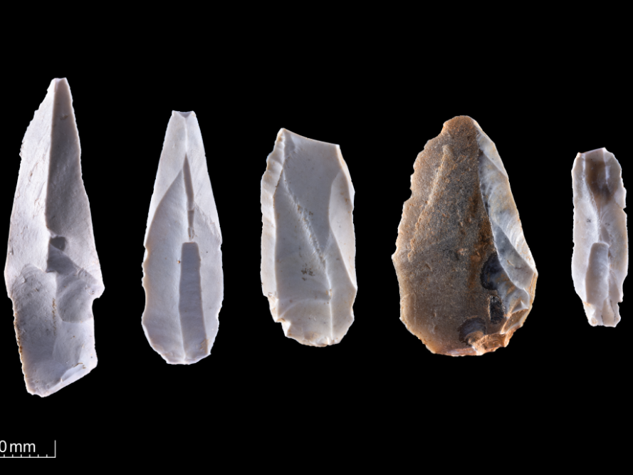 Abbildung 5: Klingen, Lamellen und Abschläge aus Feuerstein. Breitenbach, Burgenlandkreis. © Landesamt für Denkmalpflege und Archäologie Sachsen-Anhalt, A. Westphalen.