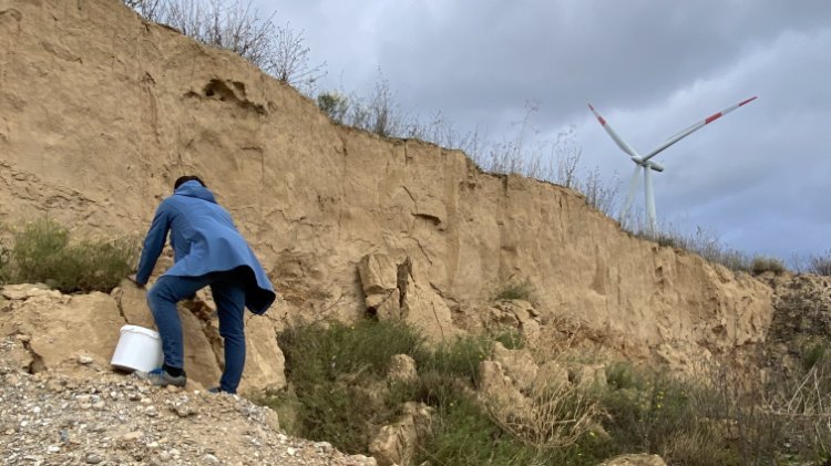 Abbildung 5: Probennahme im Kieswerk Tagewerben. Der aufliegende Löss wird in der Regel als Abraum entsorgt, eignet sich aber perfekt als Baustoff. © Landesamt für Denkmalpflege und Archäologie Sachsen-Anhalt, GOLEHM.