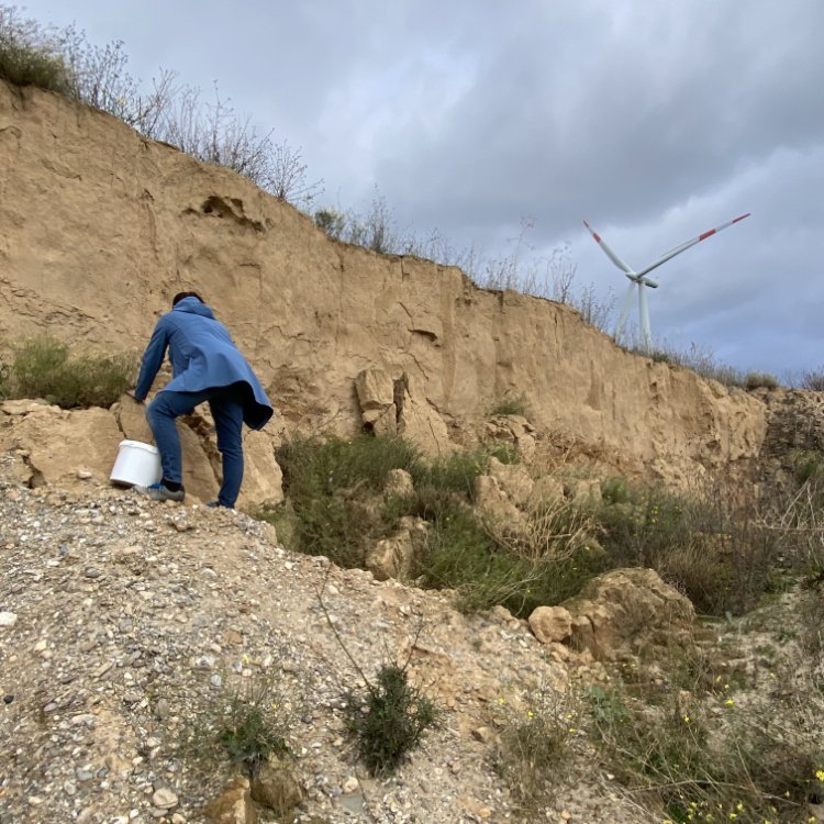Probennahme im Kieswerk Tagewerben. Der aufliegende Löss wird in der Regel als Abraum entsorgt, eignet sich aber perfekt als Baustoff. © Landesamt für Denkmalpflege und Archäologie Sachsen-Anhalt, GOLEHM.