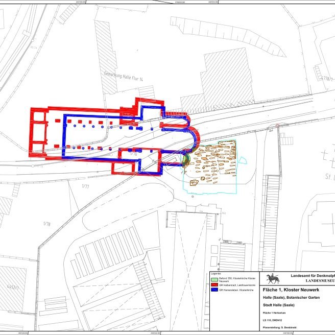 Überlagerung der Grabungsbefunde mit den Grundrissen der Kirchen der Augustiner-Chorherrenstifte Halberstadt (rot) und Hamersleben (blau). Östlich der Kirche sind die dokumentierten Gräber des hier angetroffenen, dicht belegten Friedhofes eingezeichnet. © Landesamt für Denkmalpflege und Archäologie Sachsen-Anhalt.