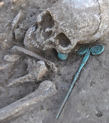 Abbildung 2: Die Lage des Spiralröllchens und der Brillennadel an der linken Kopfseite. © Landesamt für Denkmalpflege und Archäologie Sachsen-Anhalt, Kerstin Kühne.