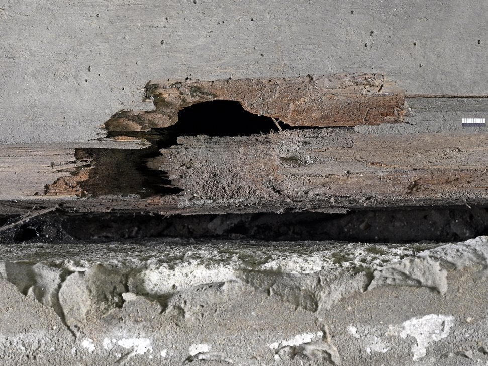 Der Holzsarg weist an Stellen, an denen durch Öffnungen im Steinsarkophag Luft in dessen Inneres drang, deutlich sichtbare Schäden auf. © Landesamt für Denkmalpflege und Archäologie Sachsen-Anhalt, Andrea Hörentrup.