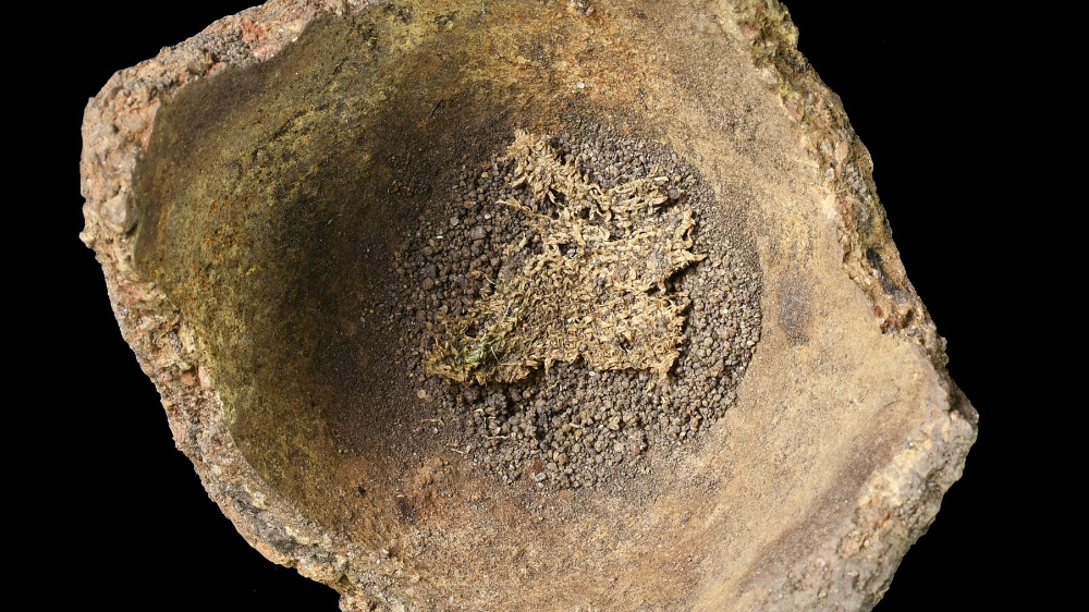 Abbildung 6: Das kleine Textilfragment von 1–2 Zentimeter Seitenlänge, welches sich im Sediment am Gefäßboden befand. © Landesamt für Denkmalpflege und Archäologie Sachsen-Anhalt, Friederike Hertel.