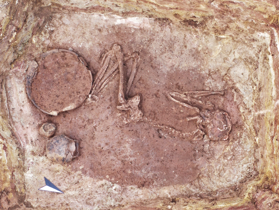 Abbildung. 9: Im untersten Grab (Grab III) war ein vermutlich weibliches Individuum bestattet, welchem Keramikbeigaben beigestellt wurden. © Landesamt für Denkmalpflege und Archäologie Sachsen-Anhalt, F. Schneider. Abbildung. 9: Im untersten Grab (Grab III) war ein vermutlich weibliches Individuum bestattet, welchem Keramikbeigaben beigestellt wurden. © Landesamt für Denkmalpflege und Archäologie Sachsen-Anhalt, F. Schneider.