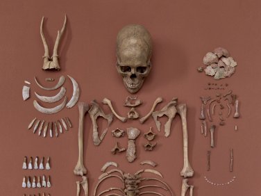 Die ›Schamanin‹ von Bad Dürrenberg im Landesmuseum für Vorgeschichte Halle (Saale). © Landesamt für Denkmalpflege und Archäologie Sachsen-Anhalt, Juraj Lipták. Die ›Schamanin‹ von Bad Dürrenberg im Landesmuseum für Vorgeschichte Halle (Saale). © Landesamt für Denkmalpflege und Archäologie Sachsen-Anhalt, Juraj Lipták.