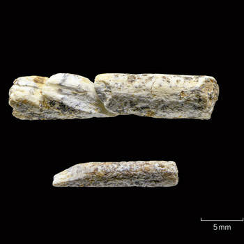 © Landesamt für Denkmalpflege und Archäologie Sachsen-Anhalt, J. Lipták.