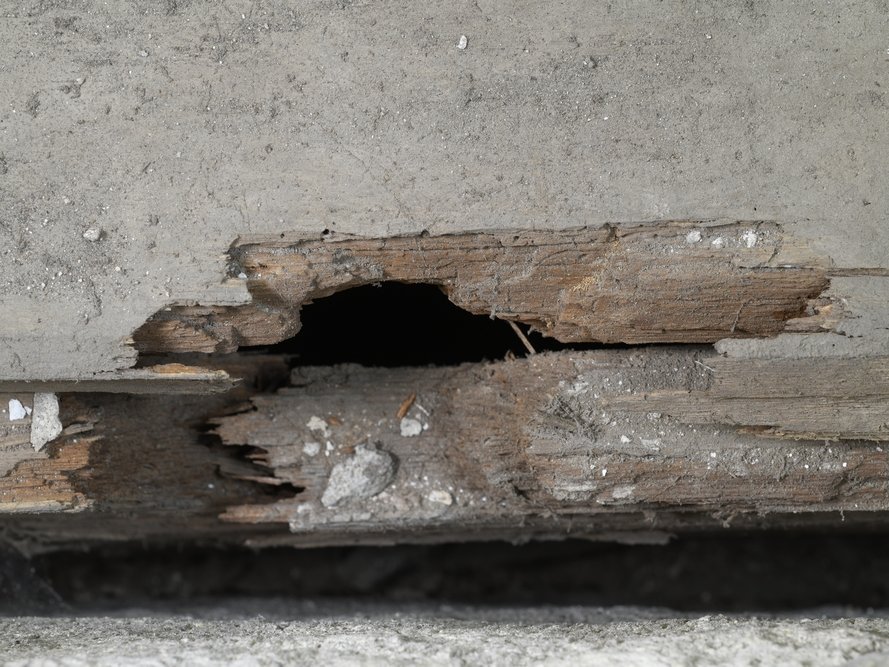 Die Holzkiste weist an verschiedenen Stellen massive Schädigungen auf. © Landesamt für Denkmalpflege und Archäologie Sachsen-Anhalt, Andrea Hörentrup.