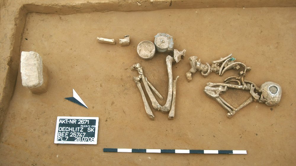 Abbildung 7: Bestattung der Glockenbecherkultur mit Kupferdolch bei Oechlitz. © Landesamt für Denkmalpflege und Archäologie Sachsen-Anhalt.