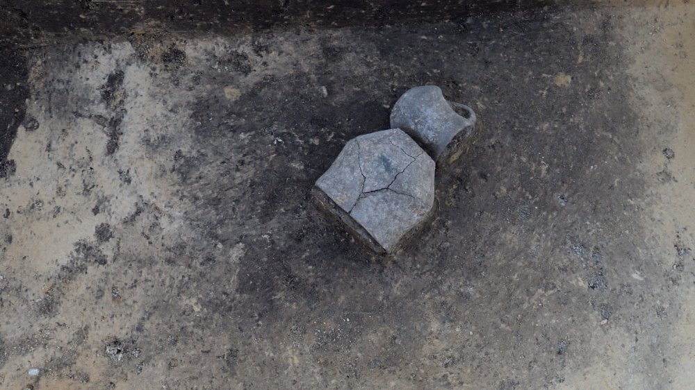Abbildung 3: Die überwiegend unverzierten Gefäße datieren die Bestattungen auf Grund ihrer Form in die späte Jungsteinzeit. © Landesamt für Denkmalpflege und Archäologie Sachsen-Anhalt, Thomas Kubenz.