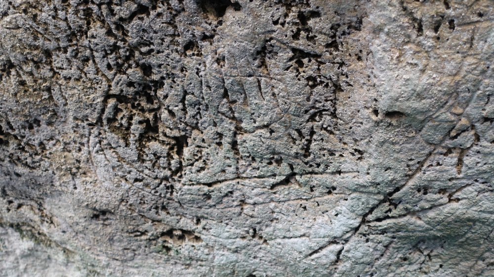 Abbildung 9b: Ritzzeichnung eines möglichen minoischen Schiffes an einer Wand in der Grotta della Poesia. © Franziska Knoll, Martin-Luther-Universität Halle-Wittenberg.