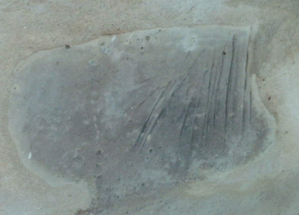 Abbildung 2: Wetzrillen in einem Sandstein. © Ulrich Fach (Zerbst).