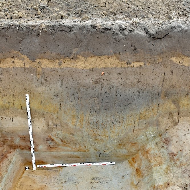 Profil eines charakteristischen römischen Spitzgrabens, Marschlager von Aken 1. © Landesamt für Denkmalpflege und Archäologie Sachsen-Anhalt, Thomas Koiki.