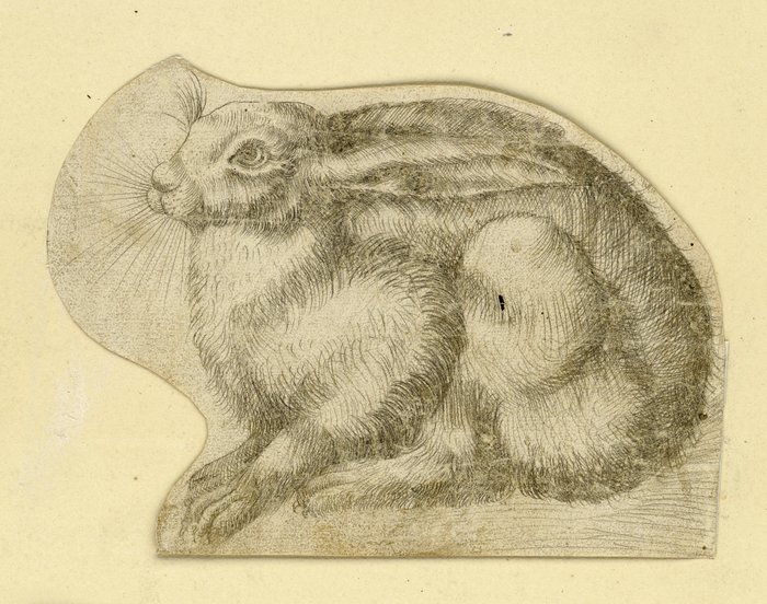 Abbildung 4: Albrecht Dürer, Sitzender Hase nach links, Silberstift, undatiert. Staatliche Museen zu Berlin, Kupferstichkabinett. IdentNr. KdZ 4940. © Staatliche Museen zu Berlin, Kupferstichkabinett / D. Katz. Public Domain Mark 1.0. Abbildung 4: Albrecht Dürer, Sitzender Hase nach links, Silberstift, undatiert. Staatliche Museen zu Berlin, Kupferstichkabinett. IdentNr. KdZ 4940. © Staatliche Museen zu Berlin, Kupferstichkabinett / D. Katz. Public Domain Mark 1.0.