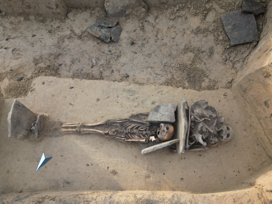 Abbildung 4: Befund 1142. Eine Kinderbestattung innerhalb einer vorangegangenen Erwachsenenbestattung (Mehrfachbestattung) © Landesamt für Denkmalpflege und Archäologie Sachsen-Anhalt, Madeleine Hablitscheck. 