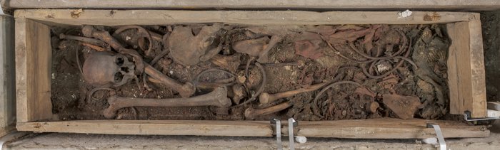 Blick in den offenen Sarg von Otto dem Großen. Zum Inhalt gehören eine Vielzahl von unterschiedlichen Funden, wie Eier, Nüsse, Gräser, Obstkerne, eine Münze und kostbare, feine Textilien. © Landesamt für Denkmalpflege und Archäologie Sachsen-Anhalt, Andrea Hörentrup.