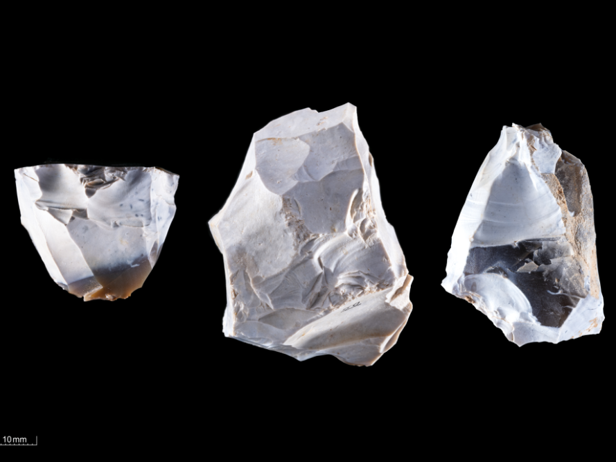 Abbildung 6: Kerne aus Feuerstein. Breitenbach, Burgenlandkreis. © Landesamt für Denkmalpflege und Archäologie Sachsen-Anhalt, A. Westphalen.