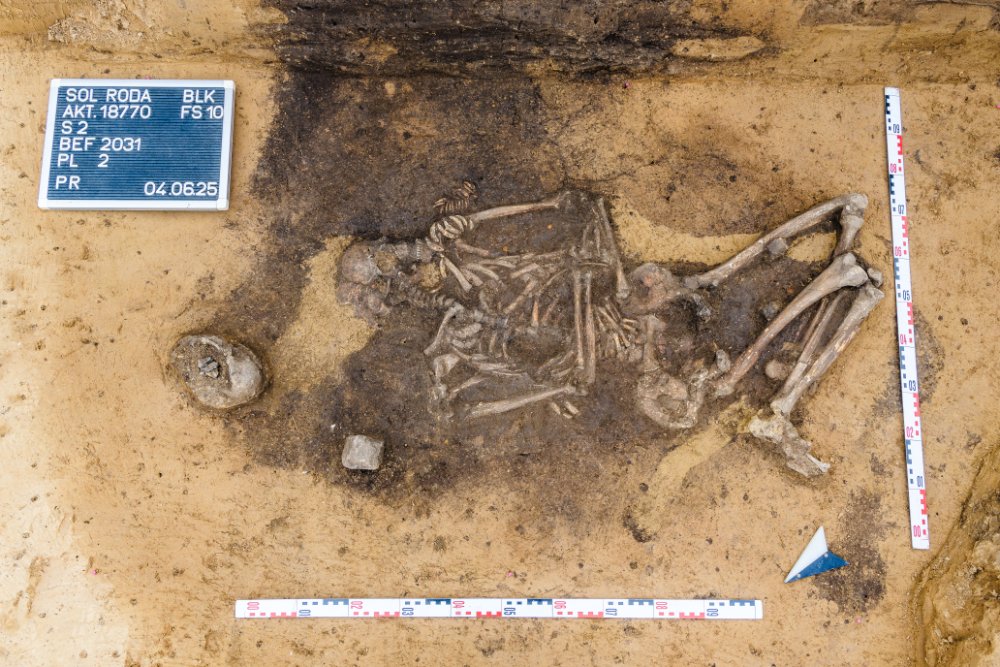 Ein schnurkeramisches Frauengrab mit zahlreichen Tierzähnen. © Landesamt für Denkmalpflege und Archäologie Sachsen-Anhalt, Klaus Bentele.