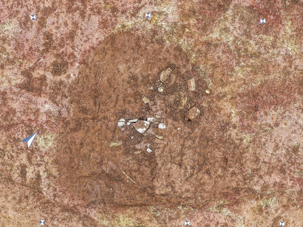 Abbildung 4: Das Steinkistengrab war durch die jahrzehntelange intensive landwirtschaftliche Nutzung der Fläche schon weitestgehend zerstört. © Landesamt für Denkmalpflege und Archäologie Sachsen-Anhalt, F. Schneider. Abbildung 4: Das Steinkistengrab war durch die jahrzehntelange intensive landwirtschaftliche Nutzung der Fläche schon weitestgehend zerstört. © Landesamt für Denkmalpflege und Archäologie Sachsen-Anhalt, F. Schneider.