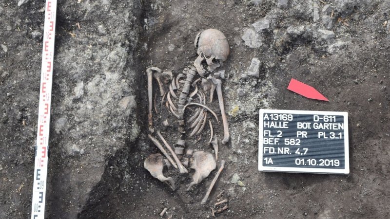 Mehrfachbestattung eines Erwachsenen und eines Kleinkindes vom ehemaligen Laurentiusfriedhof. © Landesamt für Denkmalpflege und Archäologie Sachsen-Anhalt, Merle Scheunchen.