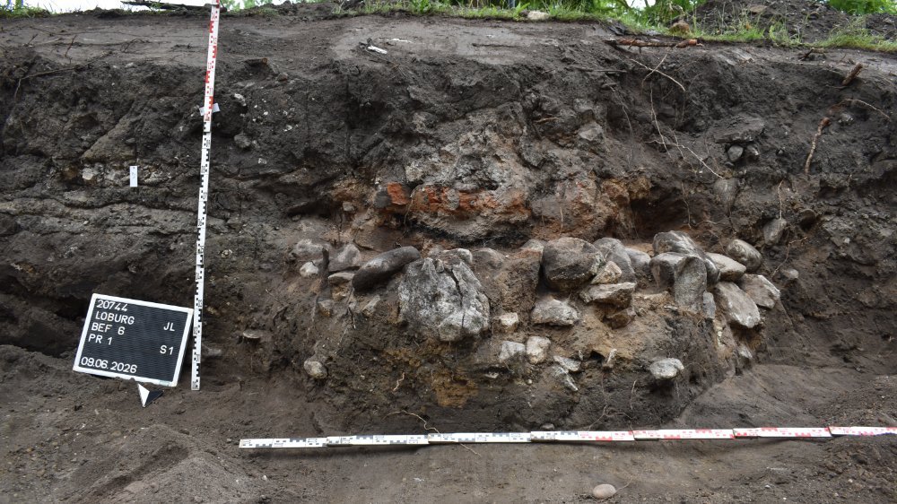 Abbildung 3:Die große Ofenanlage im Südprofil des Grabungsschnitts; Blickrichtung Süden. Über einer Basis aus in Lehm gesetzten Feldsteinen befindet sich der Ofenraum mit Holzkohle, Asche und Ziegelbruch. © Landesamt für Denkmalpflege und Archäologie Sachsen-Anhalt, Anja Tuschwitz.