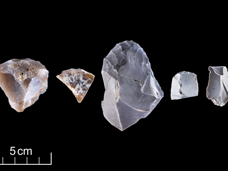 Abbildung 7: Kratzer und gezähntes Gerät aus Feuerstein. Einige der Kratzer könnten aufgrund ihrer Größe auch als Kerne für die Herstellung von Lamellen fungiert haben. Breitenbach, Burgenlandkreis. © Landesamt für Denkmalpflege und Archäologie Sachsen-Anhalt, A. Westphalen.