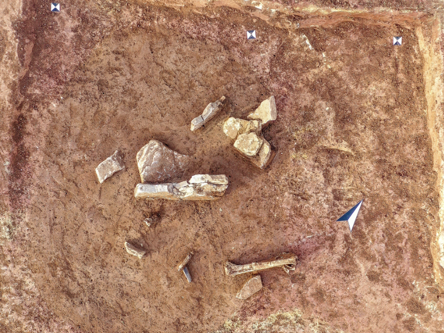Abbildung 5: Im Südosten der rudimentär erhaltenen Steinkiste lagen menschliche Knochen der unteren Extremitäten und eine Silexklinge, welche zu einer älteren Bestattung gehörten. © LDA Sachsen-Anhalt, F. Schneider. Abbildung 5: Im Südosten der rudimentär erhaltenen Steinkiste lagen menschliche Knochen der unteren Extremitäten und eine Silexklinge, welche zu einer älteren Bestattung gehörten. © Landesamt für Denkmalpflege und Archäologie Sachsen-Anhalt, F. Schneider.