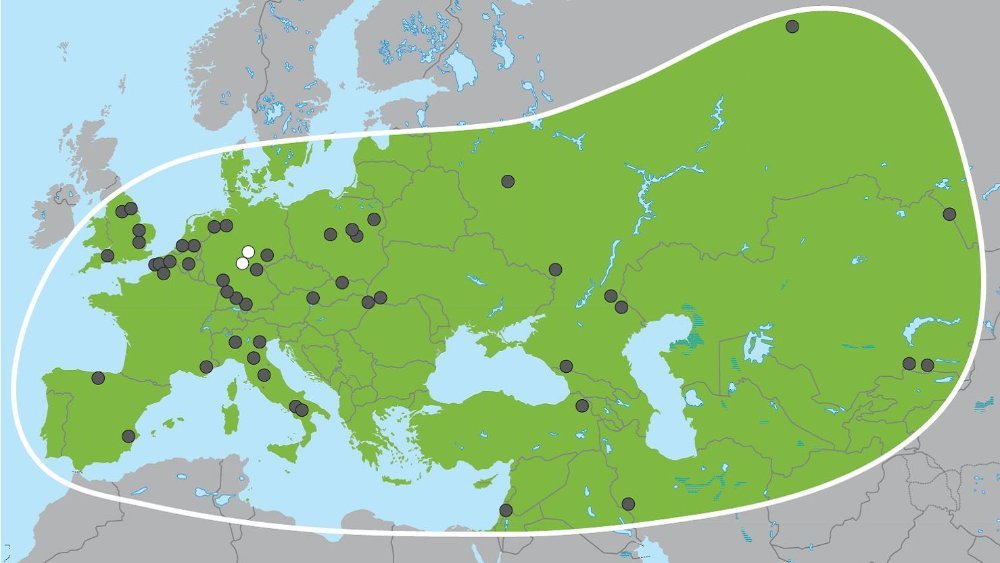 Abbildung 1: Verbreitung des Europäischen Waldelefanten  anhand von Fossilien. Die weißen Punkte markieren die mitteldeutschen Fundstellen  Weimar-Ehringsdorf und Neumark-Nord Grafik: Abbildung 1 in M. Meyer et al., Palaeo  genomes of Eurasian straight-tusked ele phants challenge the current view of elephant  evolution. eLife 2017;6:e25413. DOI:  10.7554/eLife.25413. © Meyer at al. DOI: 10.7554/eLife.25413.003 Die Abbildung wurde unter der Lizenz CC-by 4.0 veröffentlicht: https://creativecom mons.org/licenses/by/4.0/deed.de. 