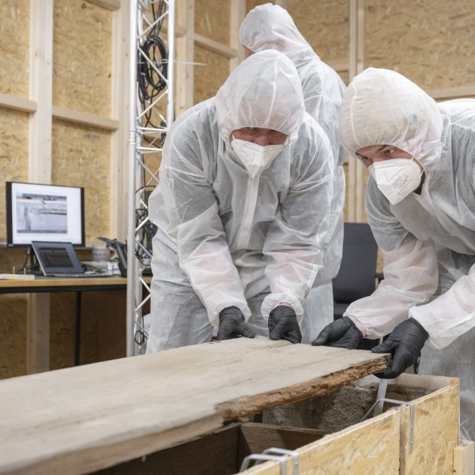 Arbeitsimpression von der Abnahme des Holzdeckels des innenstehenden Sarges. © Landesamt für Denkmalpflege und Archäologie Sachsen-Anhalt, Michel Klehm.