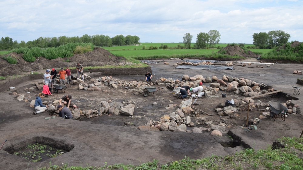 Abbildung 2: Bornhöck, Schkopau-Raßnitz. Gesamtübersicht über die Ausgrabung des Grabhügels. © Landesamt für Denkmalpflege und Archäologie, Torsten Schunke.