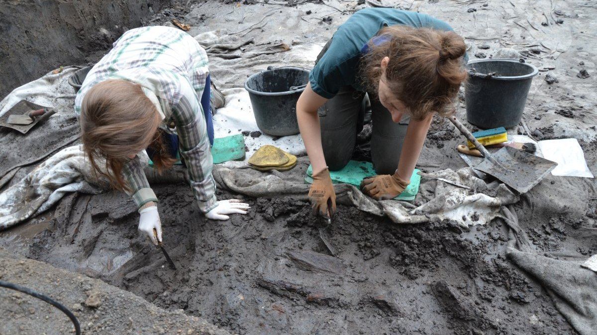Freilegung von Holzstrukturen am Kemberger Burgwall. © Landesamt für Denkmalpflege und Archäologie Sachsen-Anhalt.