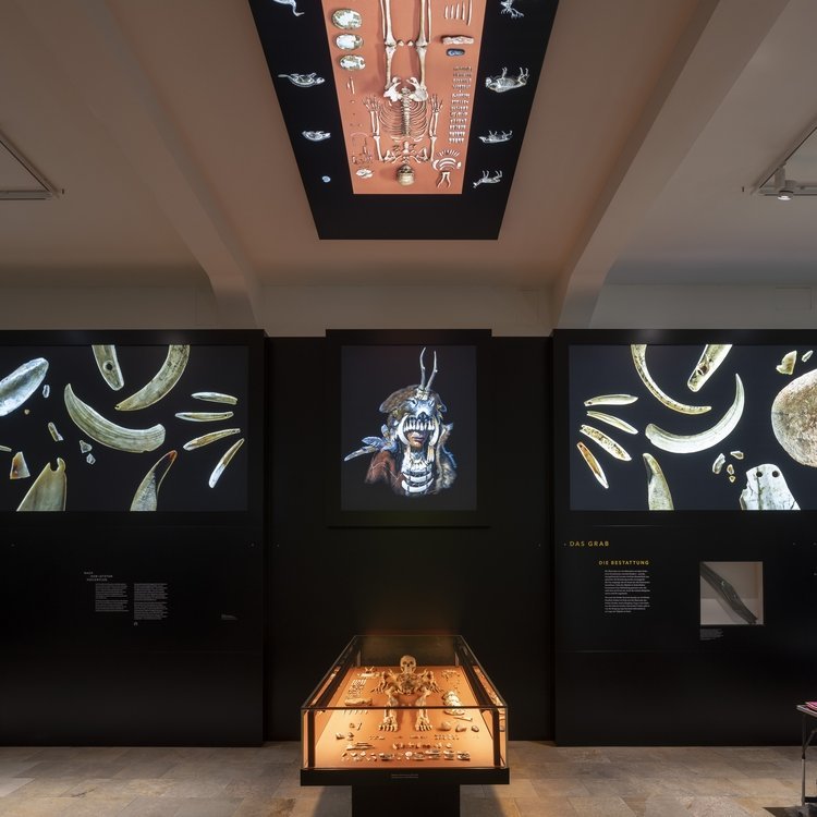 Ausstellungsimpression. © Landesamt für Denkmalpflege und Archäologie Sachsen-Anhalt, Michel Klehm.