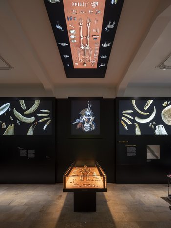 Ausstellungsimpression. © Landesamt für Denkmalpflege und Archäologie Sachsen-Anhalt, Michel Klehm.