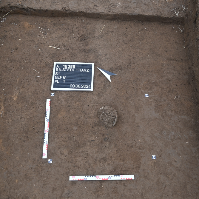 Abbildung 2: Ein Urnengrab ohne weitere Beigaben. © Landesamt für Denkmalpflege und Archäologie Sachsen-Anhalt, Christian Pscheidl.