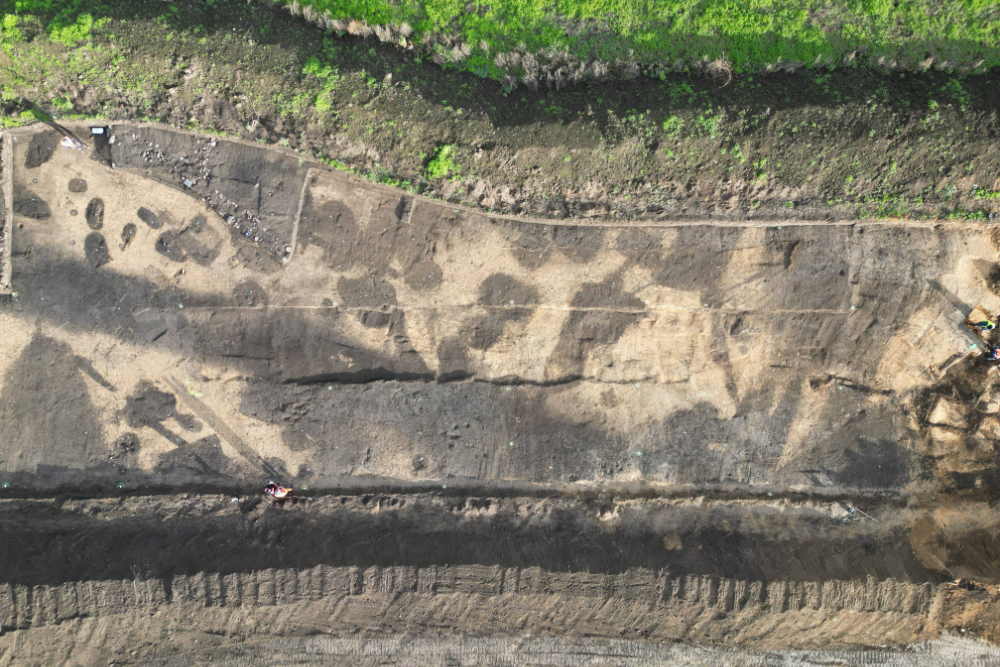 Abbildung 2: Planumsaufnahme Schnitt 2 mit Grabensystem und Grubenhäuser © Landesamt für Denkmalpflege und Archäologie Sachsen-Anhalt, Markus Fietzeck.