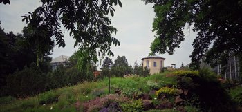 Blick auf das Alpinum im Botanischen Garten Halle (Saale), dahinter die Sternenwarte Carl Gotthard Langhans. © Landesamt für Denkmalpflege und Archäologie Sachsen-Anhalt, Anja Lochner-Rechta.