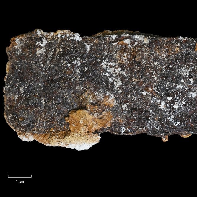 Korrodierter Eisenkeil aus dem Unterbau des Sarkophags. © Landesamt für Denkmalpflege und Archäologie Sachsen-Anhalt, Claudio Dähnel/Denis Dittrich.