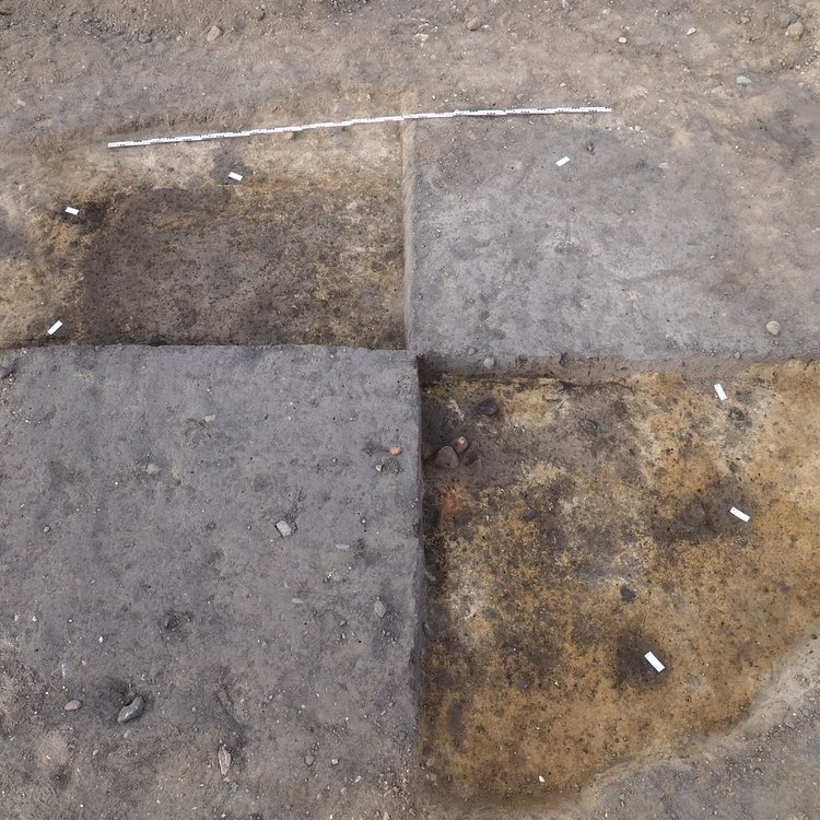 Reste des spätbronzezeitlichen Webhauses. © Landesamt für Denkmalpflege und Archäologie Sachsen-Anhalt, Juliane Huthmann.